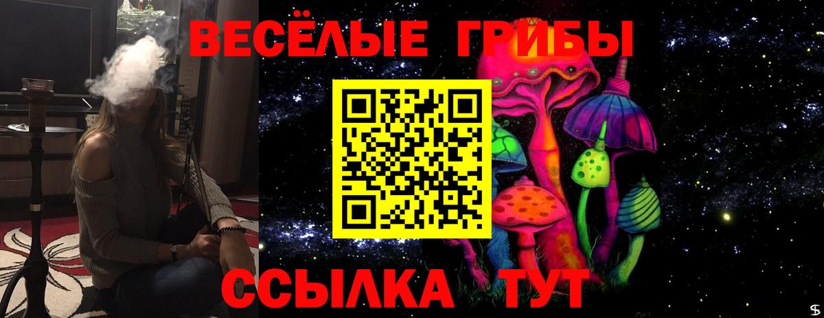 ГАШ  MDMA  МЕФ кристаллы  Кокаин  Alpha PVP СОЛЬ   Меф МЯУ МЯУ  Экстази  Канабис  Кирово-Чепецк  Вход с VPN 
